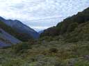 NZ1210